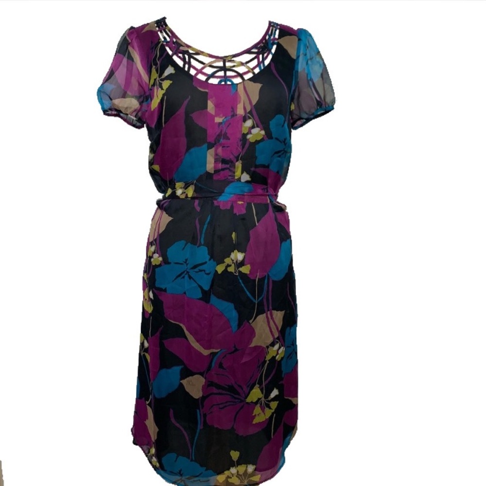 Beautiful sheer Monsoon dress